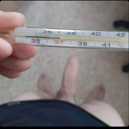 Holka na sex Faga – Praha